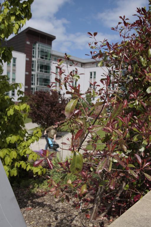 Summer Stays At The University Of Edinburgh Eksteriør billede